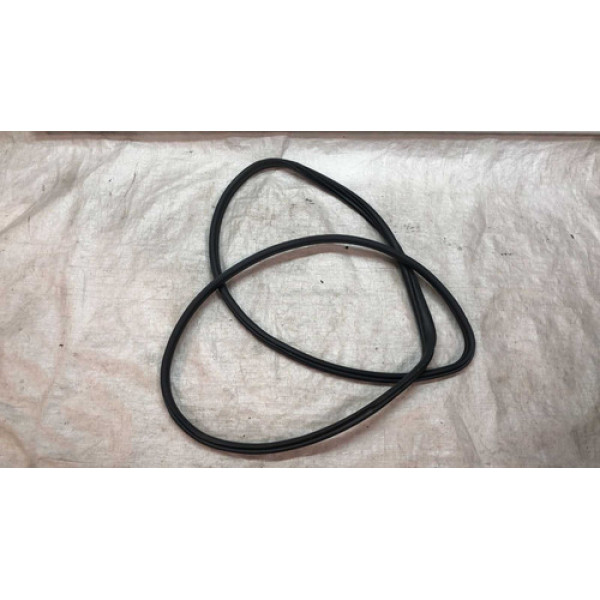 Borracha Guarnicao Porta Diantei Direito Renault scenic 2002