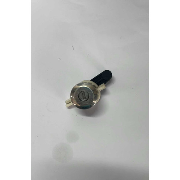 Miolo De Porta Dianteira Direita Renault Scenic 2002