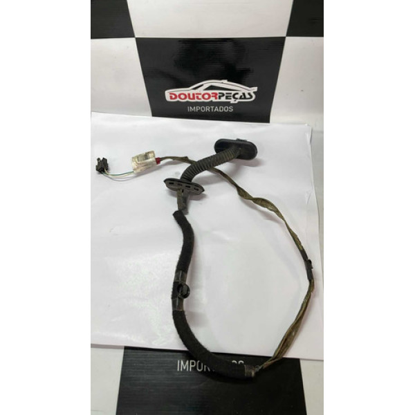 Chicote Porta Traseira Direita Renault Scenic 2002