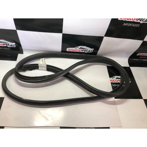 Borracha Porta Diant Direita Renault Megane Grand Tour 2008