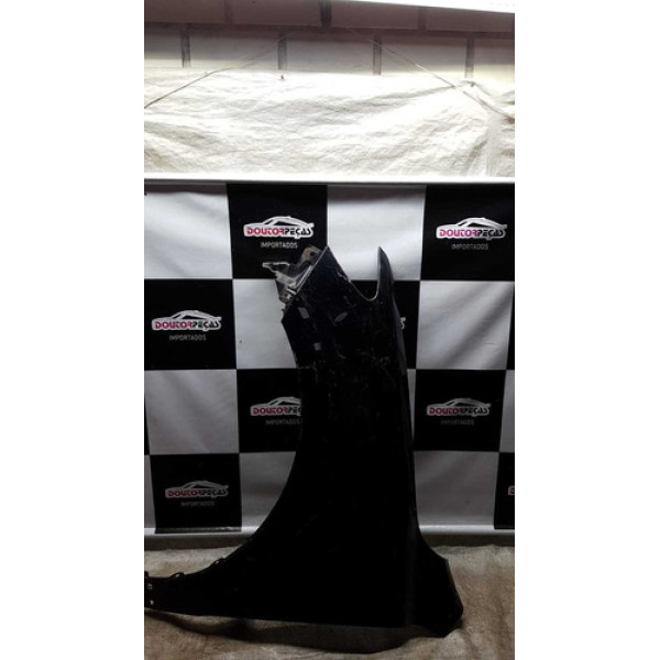 Paralama Dianteira Esquerda Hyundai Santa fé 07/13