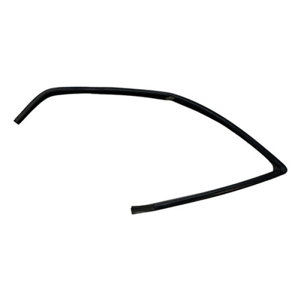 Borracha Canaleta Vidro Dianteira Esquerda Renault Scenic 