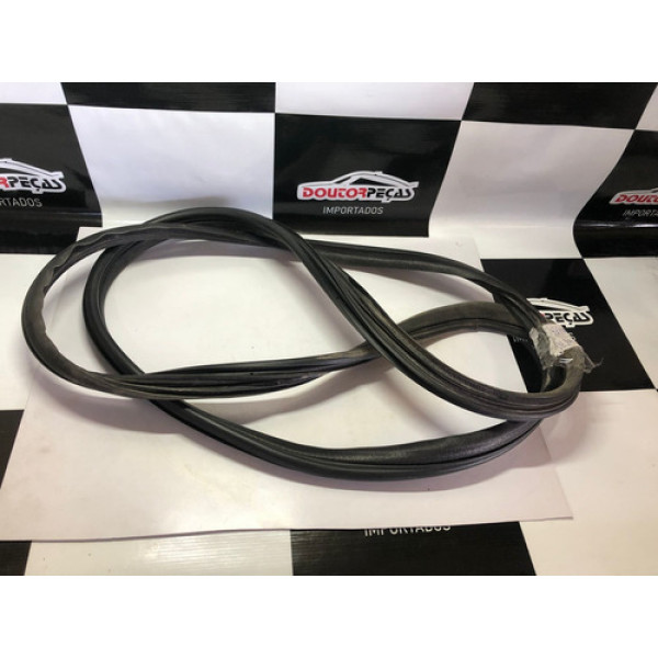 Borracha Porta Tras Esquerda Renault Megane Grand Tour 2008