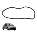Borracha Da Porta Dianteira Direita Peugeot 206 2005 (usado)