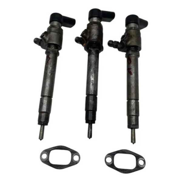 Bicos Injetores Discovery 3 2.7 Tdv6 2007 2008 2009 Original 1