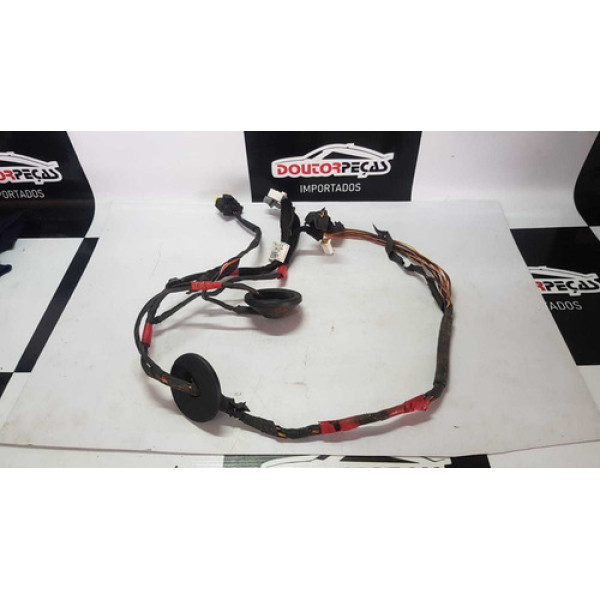 Chicote Porta Traseira Esquerda Hyundai Santa fé 07/10